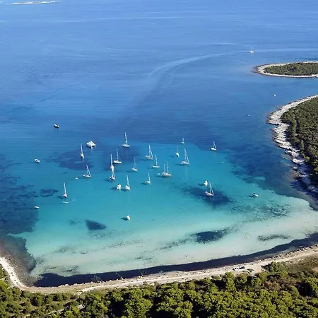 Verunic 14286b *